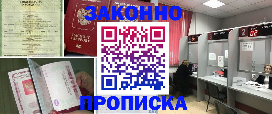 прописка в квартире в Борзе